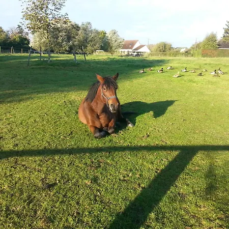 La Becassine *